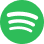 Spotify Icon